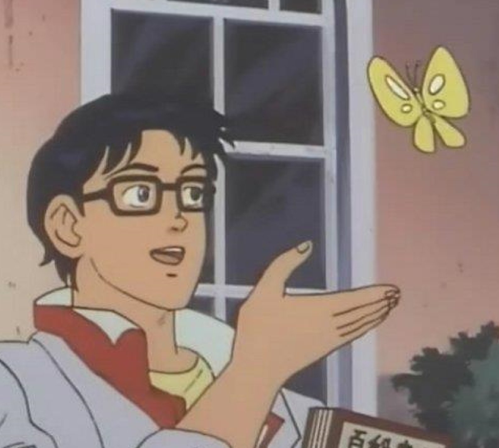 Is This A Pigeon?